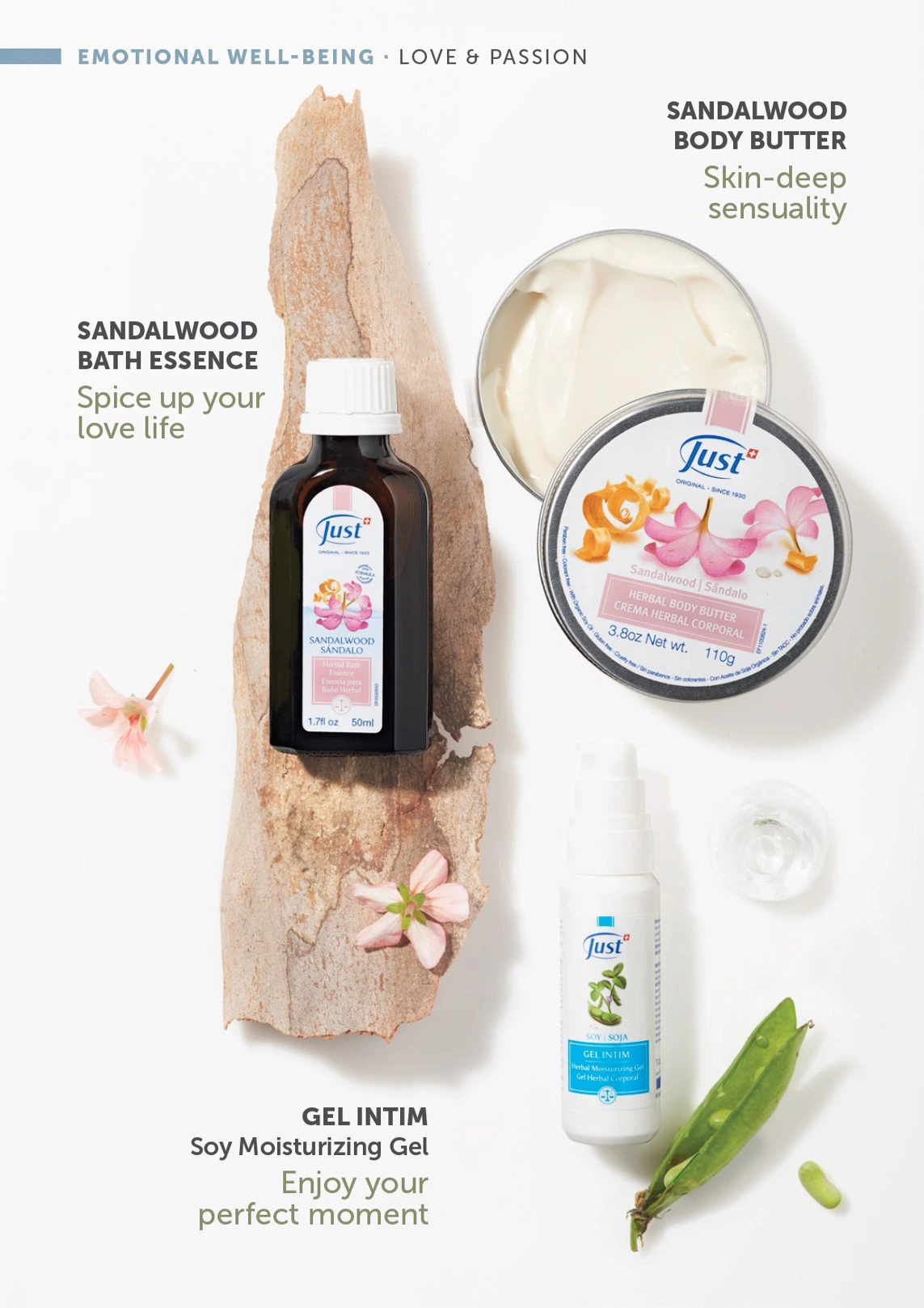 Flyer page 39