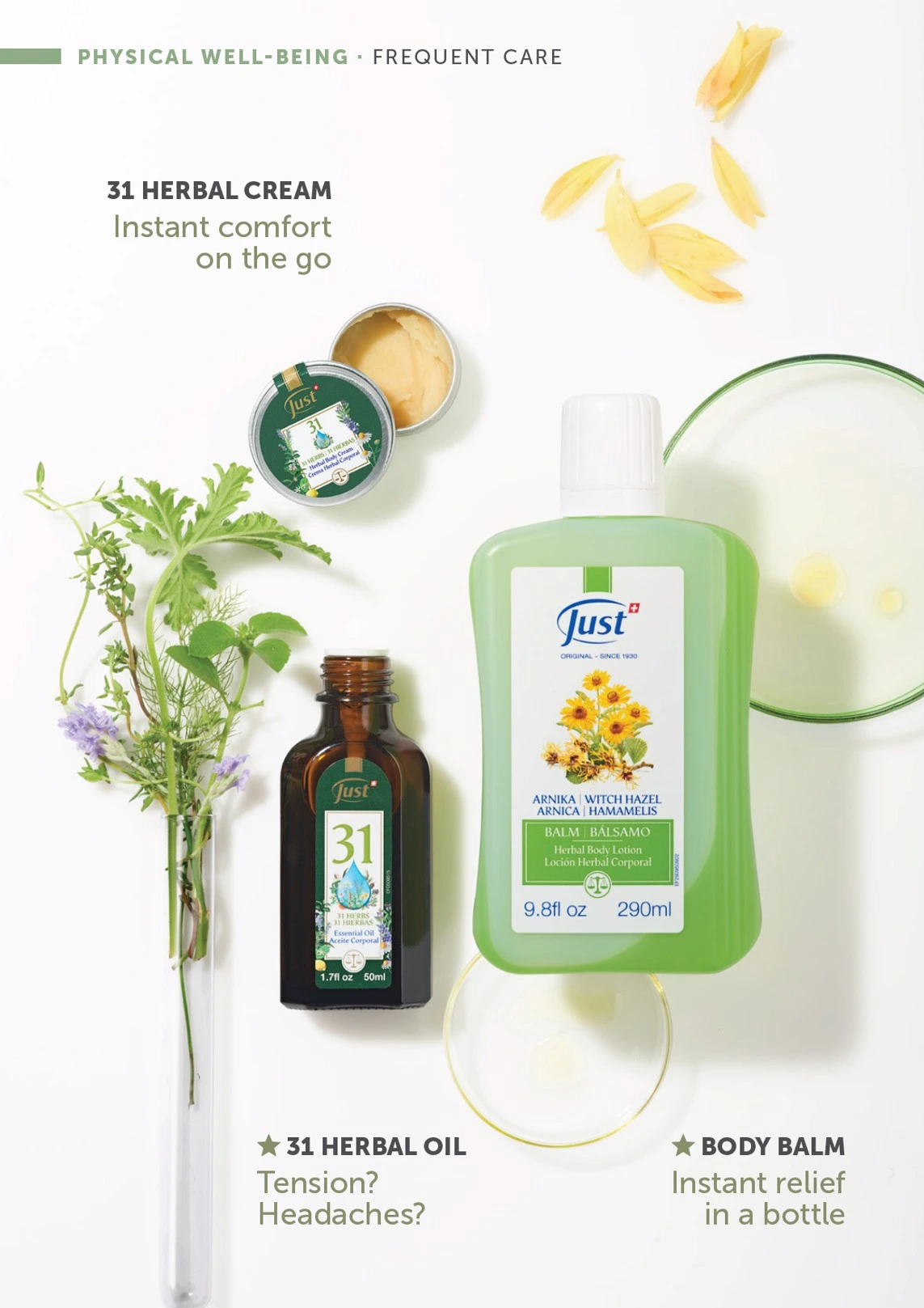 Flyer page 42