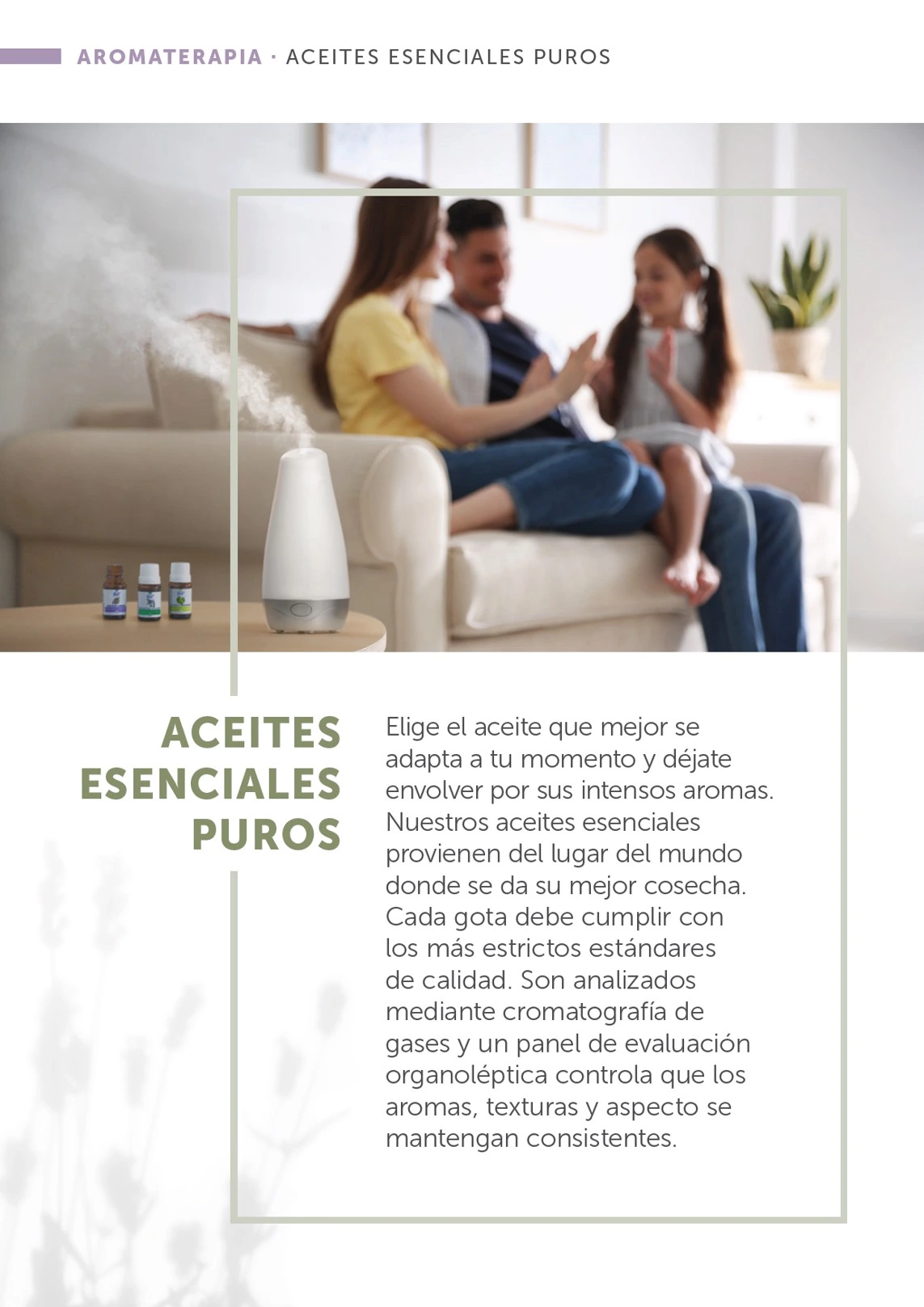 Flyer page 15