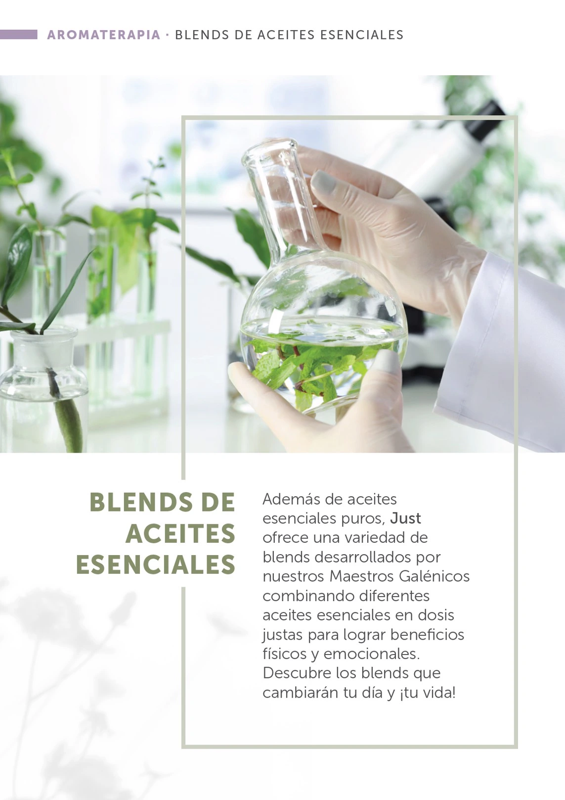 Flyer page 19