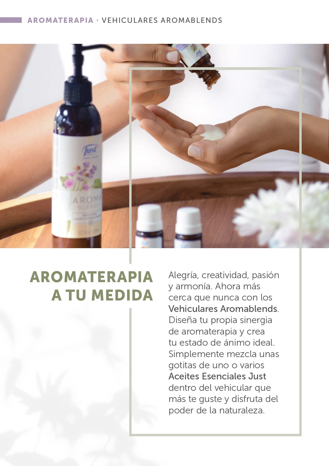 Flyer page 24