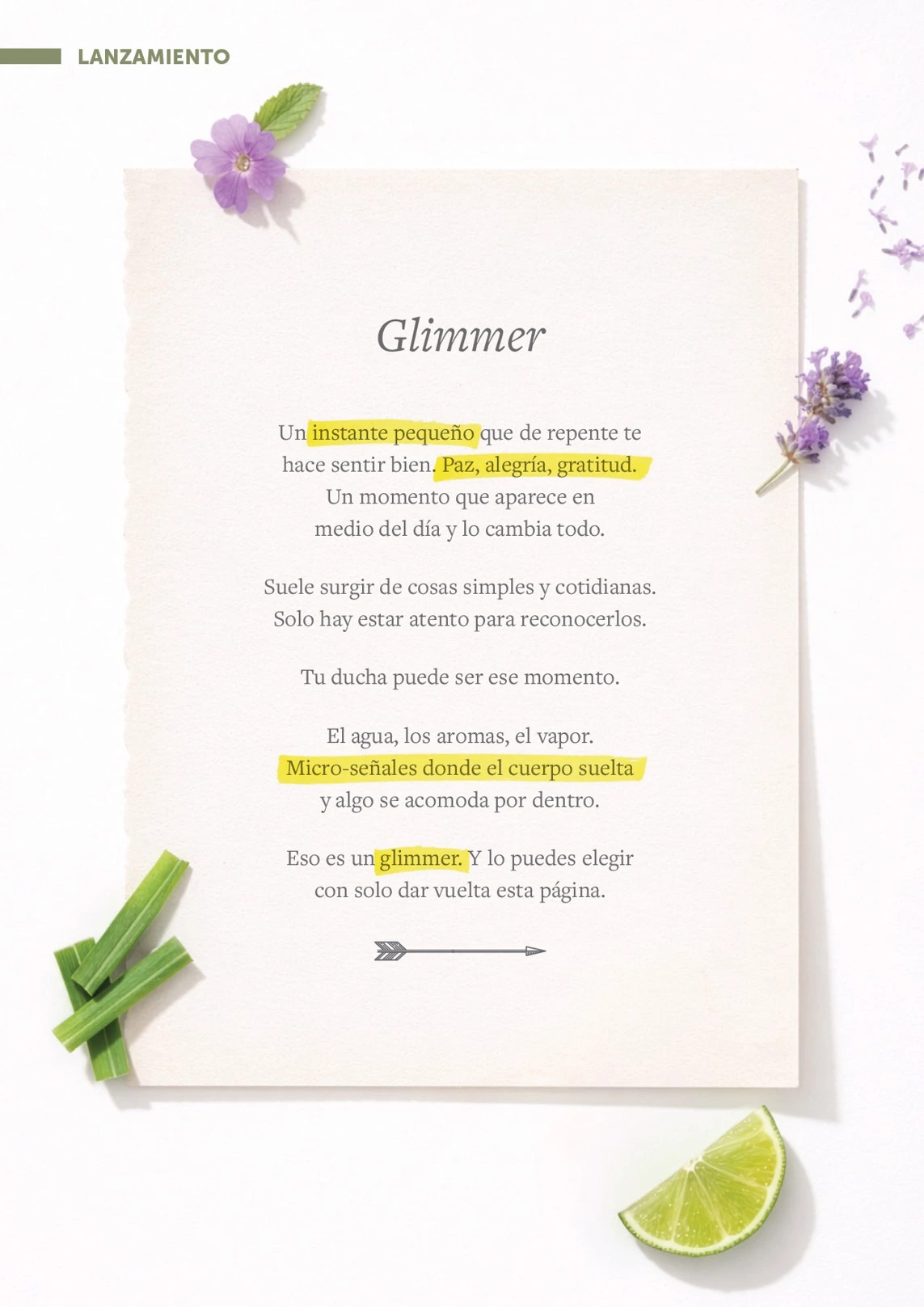 Flyer page 3