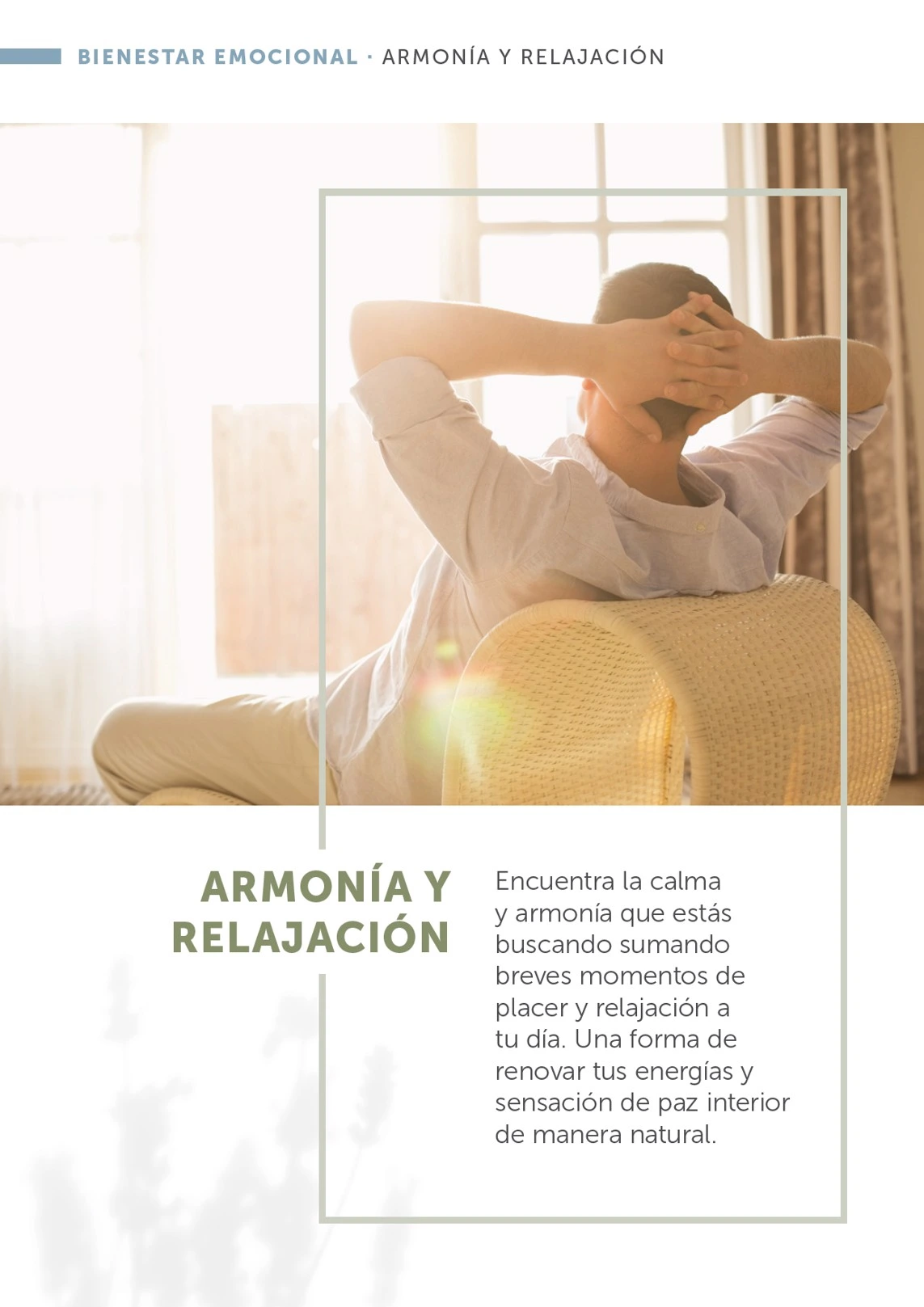 Flyer page 31