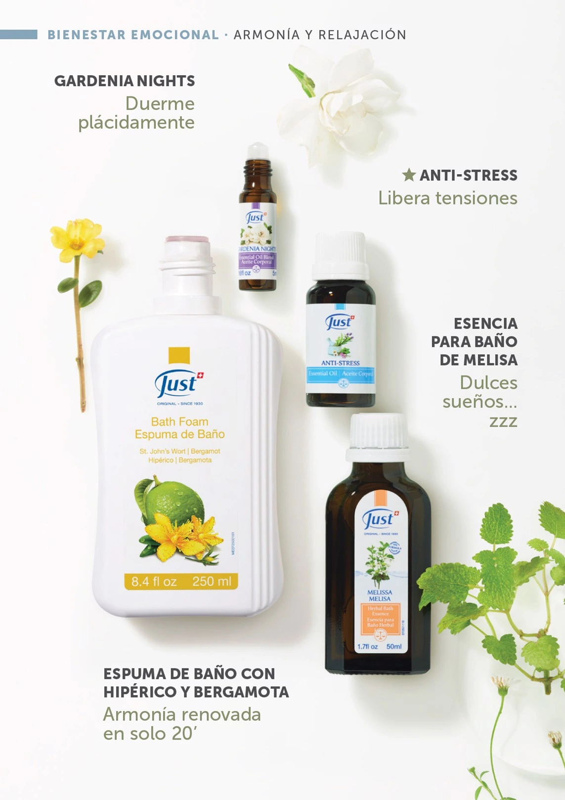 Flyer page 33