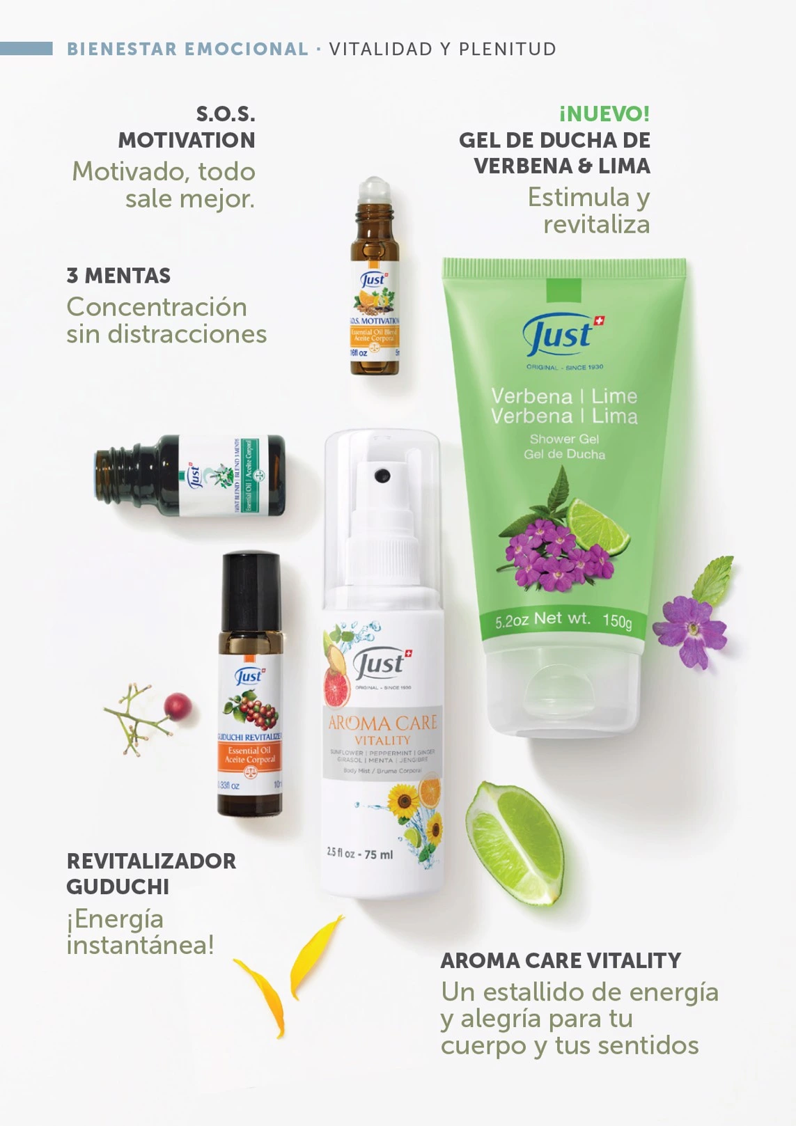 Flyer page 36