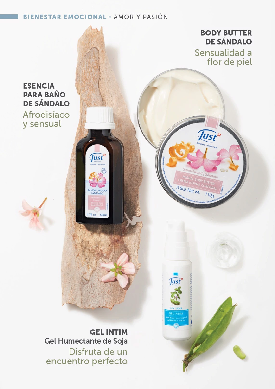 Flyer page 39
