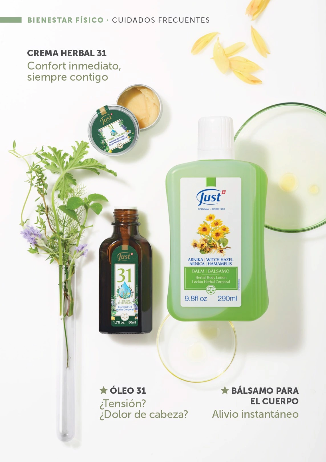 Flyer page 42