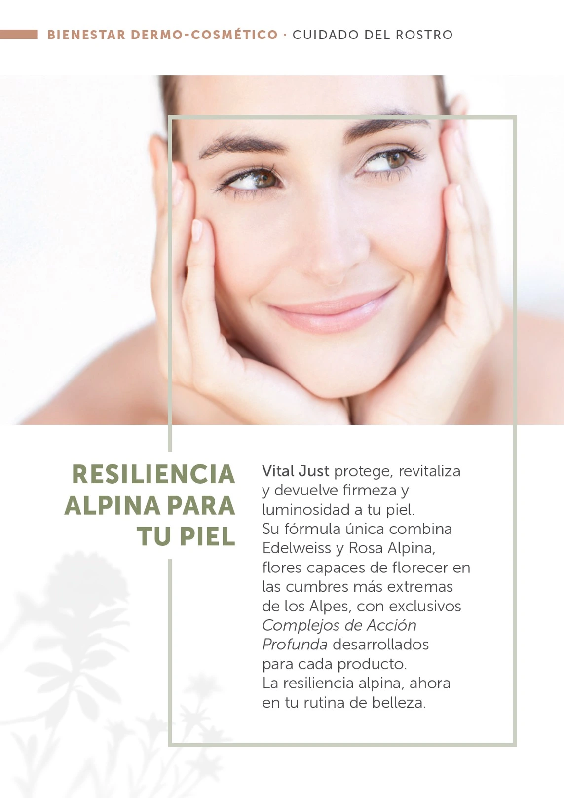 Flyer page 50