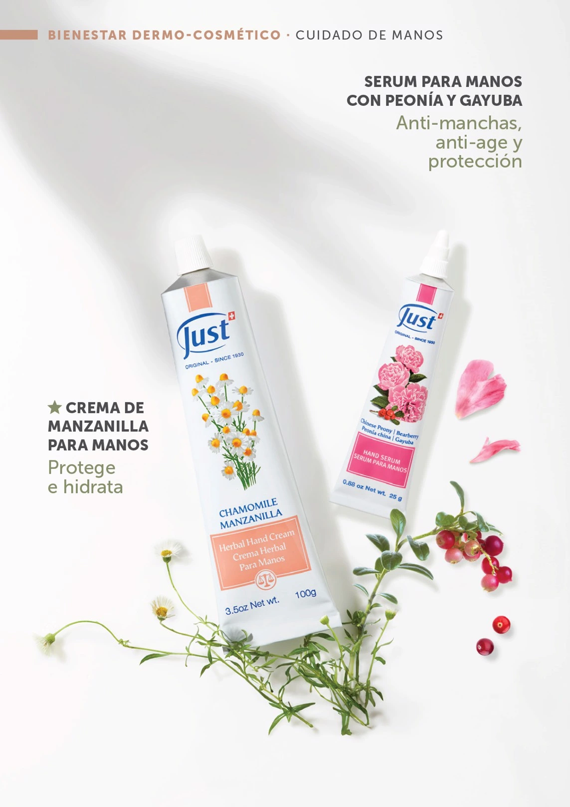 Flyer page 63