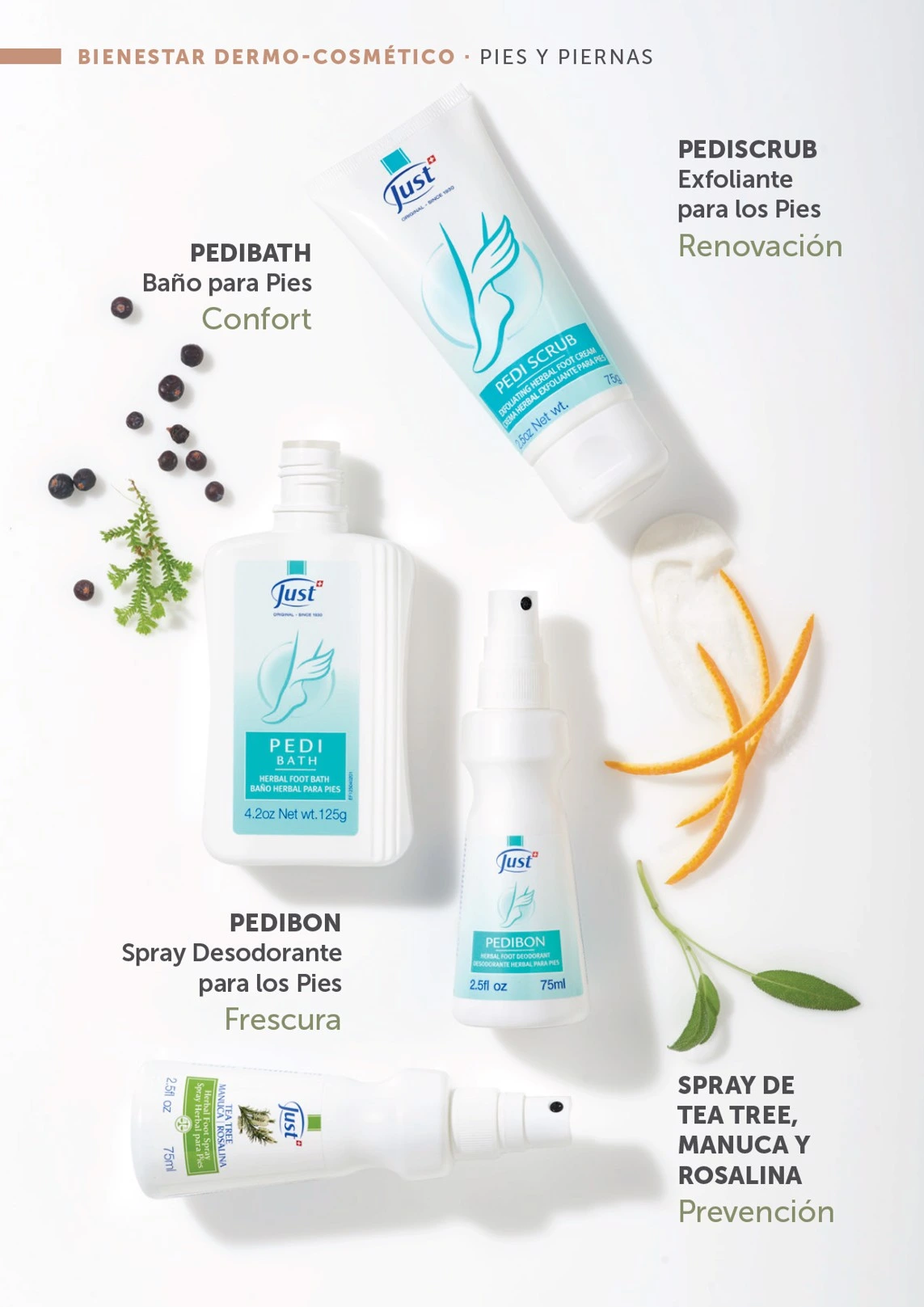 Flyer page 64
