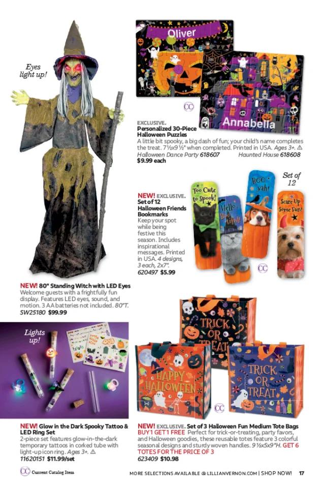 Lillian Vernon Lillian Vernon Fall 2026 Catalog - Page 17