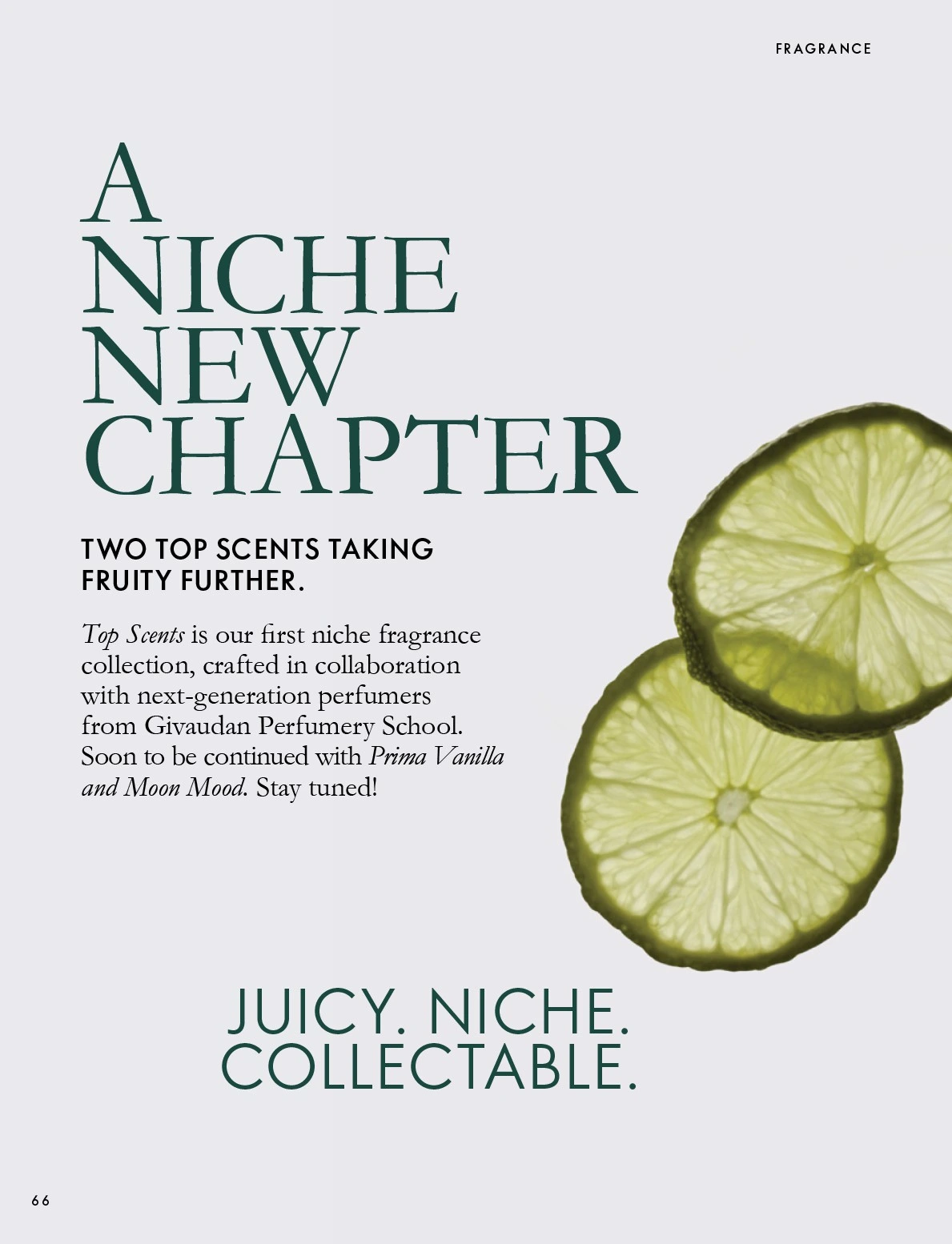 Flyer page 66