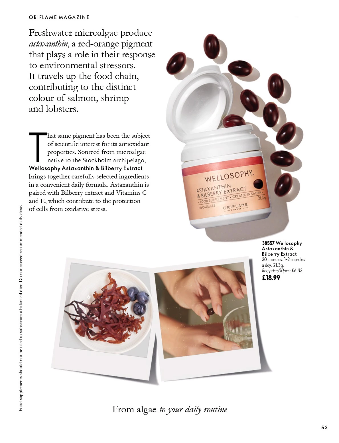 Flyer page 53