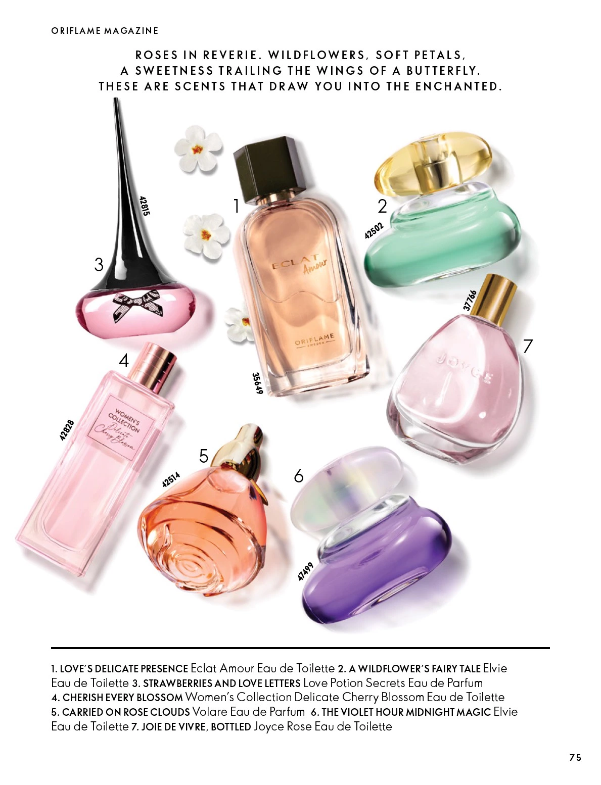Flyer page 75