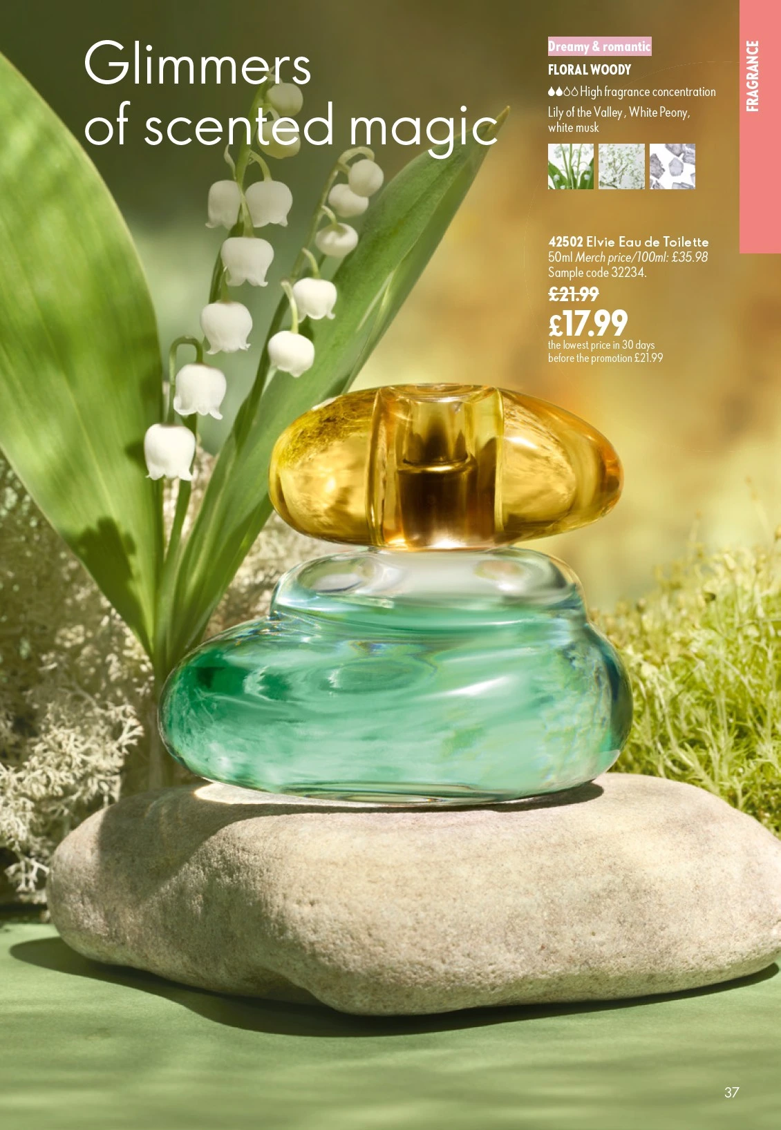 Flyer page 37