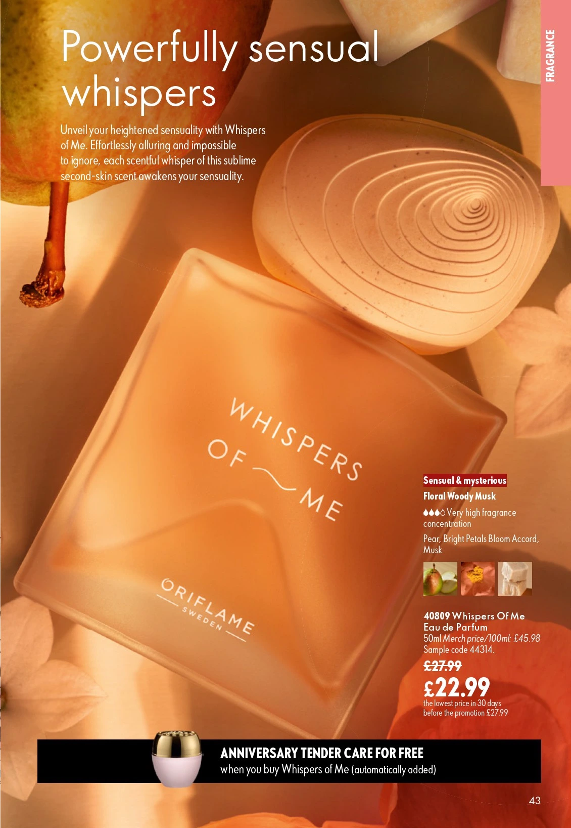 Flyer page 43