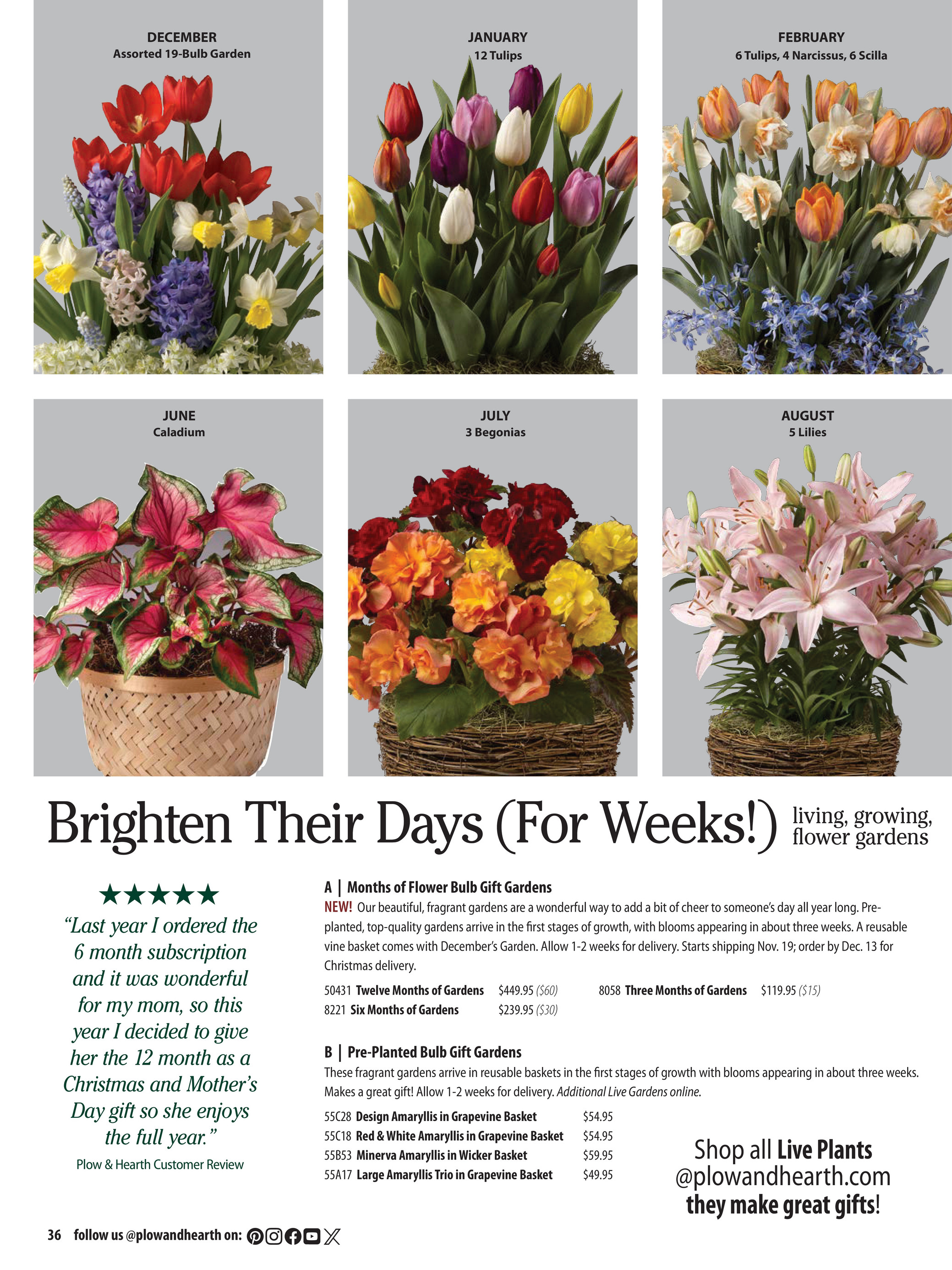 Plow & Hearth Plow & Hearth Holiday 2025 Catalog - Page 36