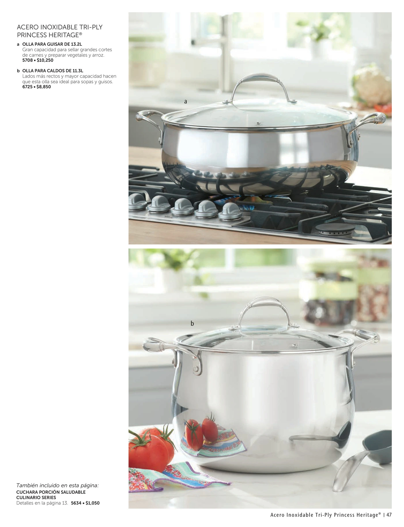 Flyer page 47