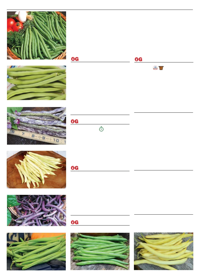 Territorial Seed Company Territorial Seed 2026 Spring Catalog - Page 10