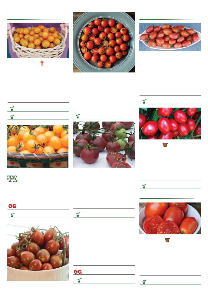 Territorial Seed Company Territorial Seed 2026 Spring Catalog - Page 100