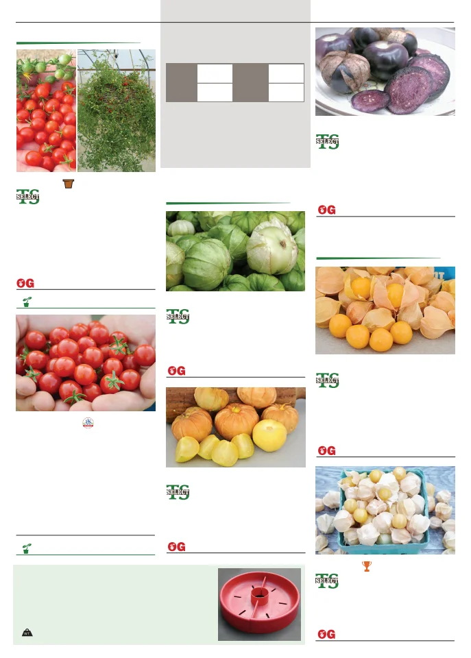 Territorial Seed Company Territorial Seed 2026 Spring Catalog - Page 102