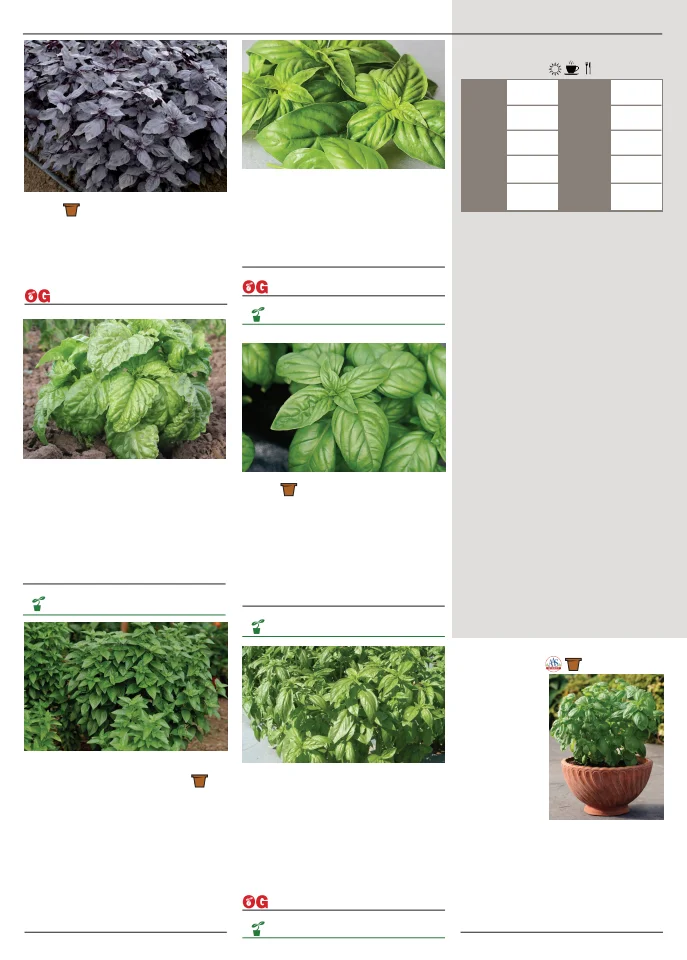 Territorial Seed Company Territorial Seed 2026 Spring Catalog - Page 108