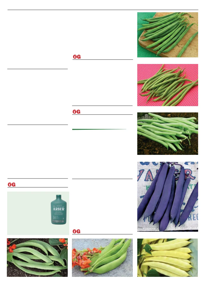 Territorial Seed Company Territorial Seed 2026 Spring Catalog - Page 11
