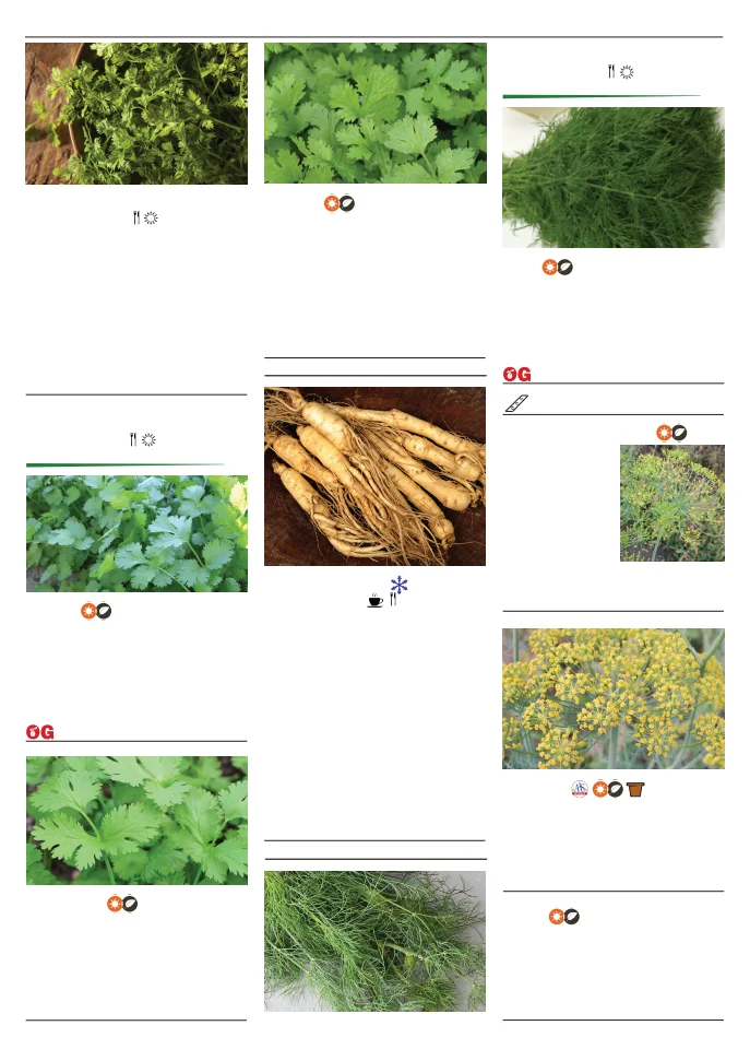 Territorial Seed Company Territorial Seed 2026 Spring Catalog - Page 110