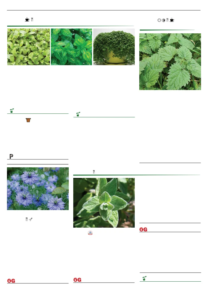 Territorial Seed Company Territorial Seed 2026 Spring Catalog - Page 112
