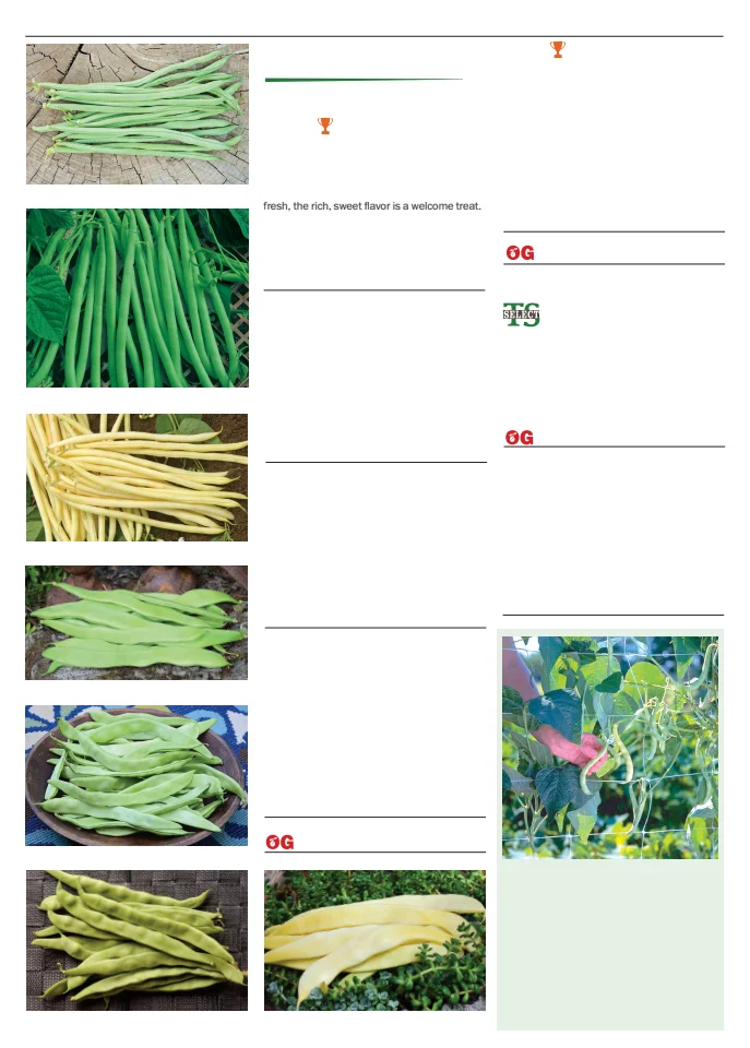 Territorial Seed Company Territorial Seed 2026 Spring Catalog - Page 12