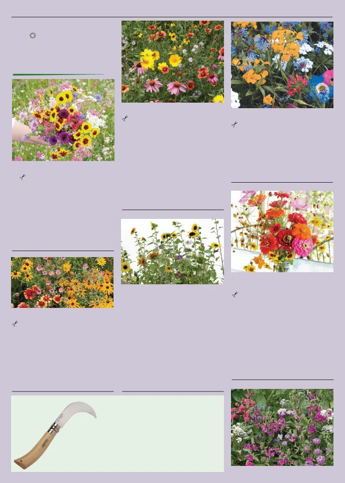 Territorial Seed Company Territorial Seed 2026 Spring Catalog - Page 126