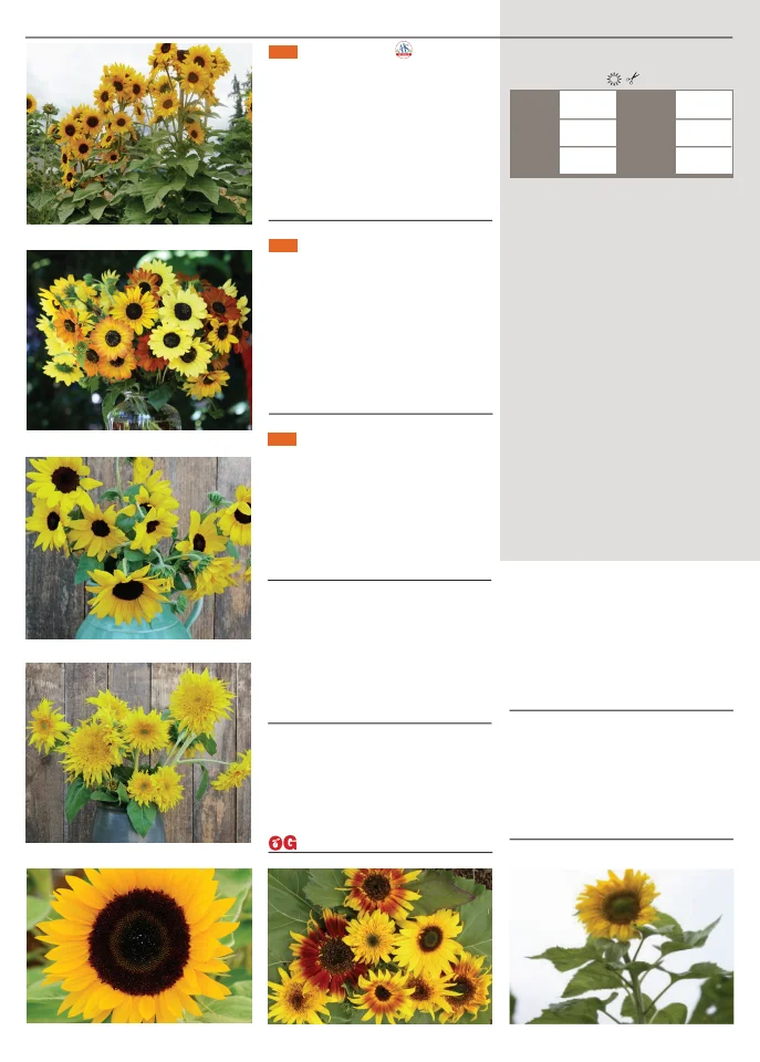 Territorial Seed Company Territorial Seed 2026 Spring Catalog - Page 130