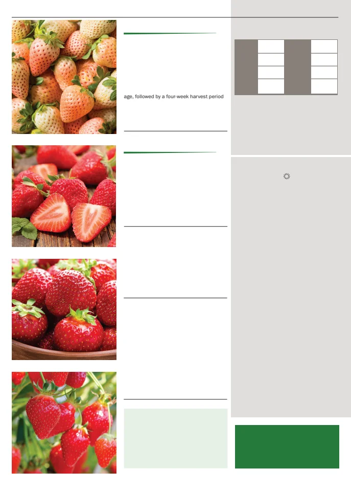 Territorial Seed Company Territorial Seed 2026 Spring Catalog - Page 136