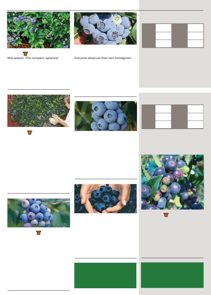 Territorial Seed Company Territorial Seed 2026 Spring Catalog - Page 138