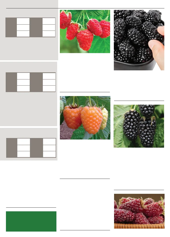 Territorial Seed Company Territorial Seed 2026 Spring Catalog - Page 139