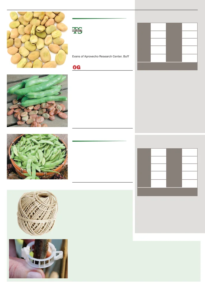 Territorial Seed Company Territorial Seed 2026 Spring Catalog - Page 14