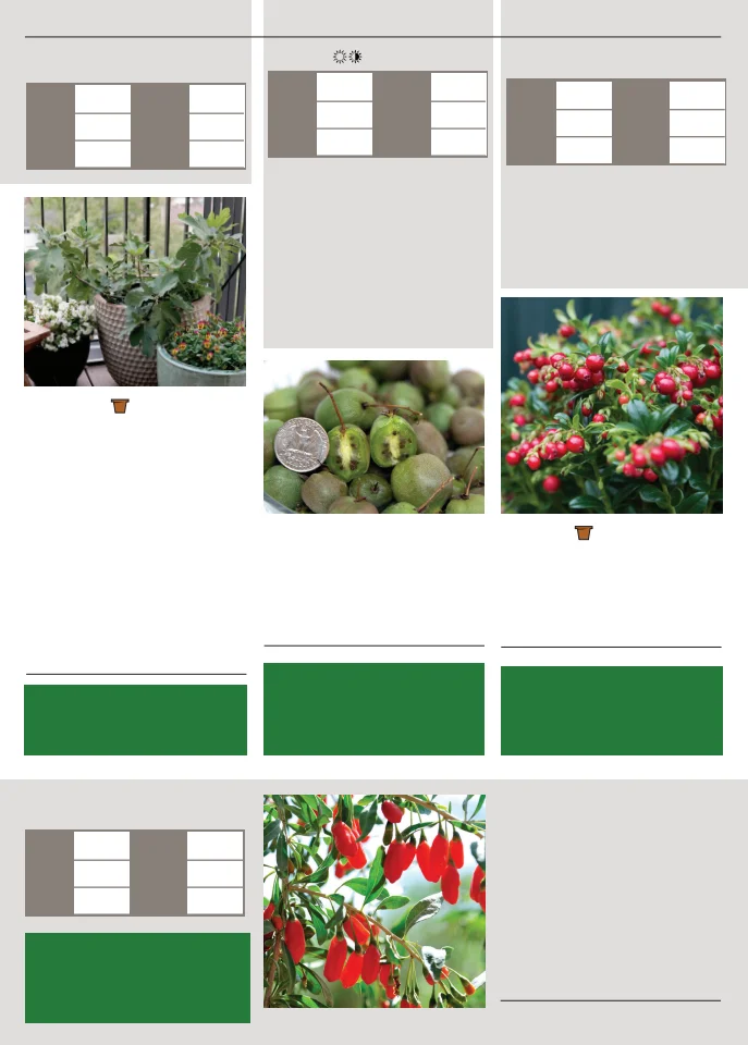 Territorial Seed Company Territorial Seed 2026 Spring Catalog - Page 140
