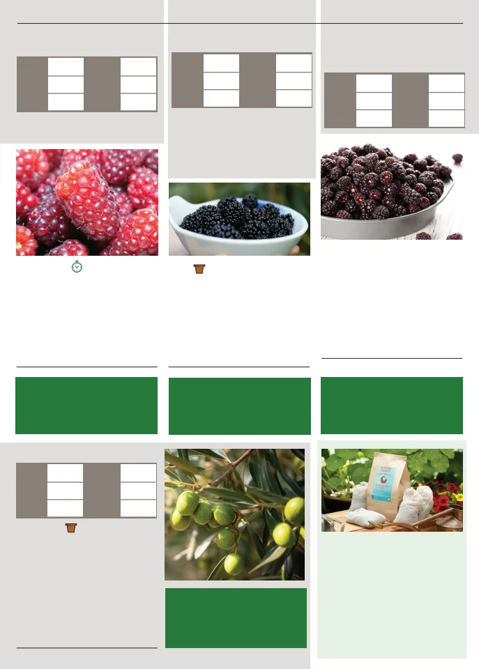 Territorial Seed Company Territorial Seed 2026 Spring Catalog - Page 141