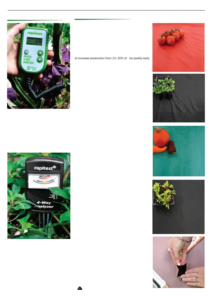 Territorial Seed Company Territorial Seed 2026 Spring Catalog - Page 147