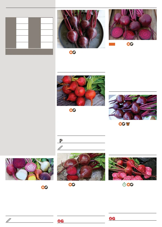 Territorial Seed Company Territorial Seed 2026 Spring Catalog - Page 15