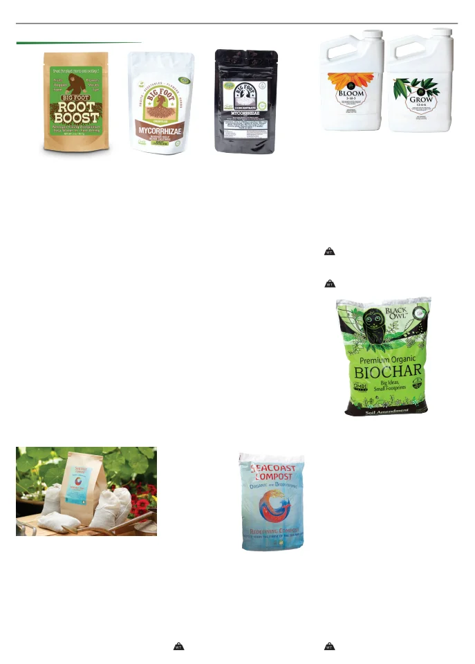 Territorial Seed Company Territorial Seed 2026 Spring Catalog - Page 150