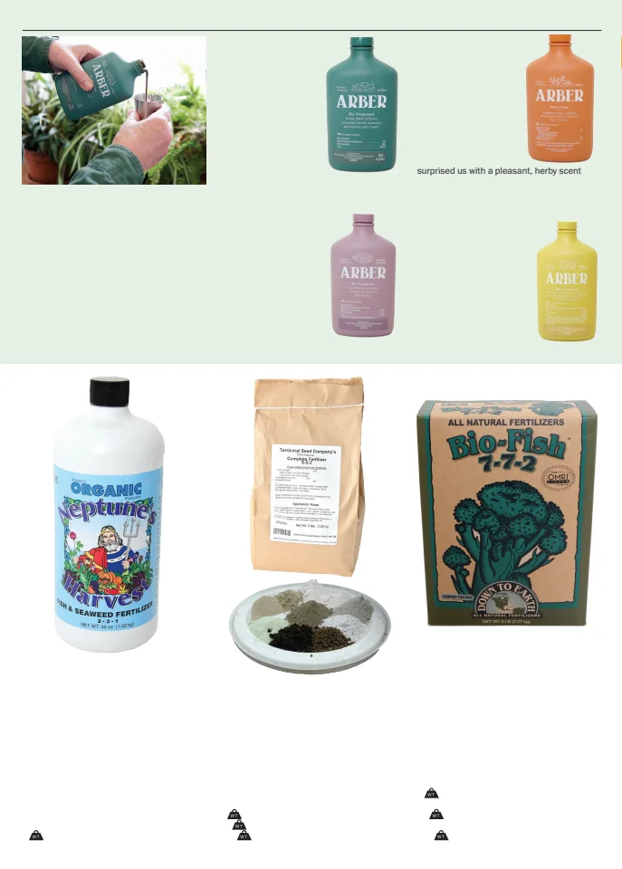Territorial Seed Company Territorial Seed 2026 Spring Catalog - Page 151