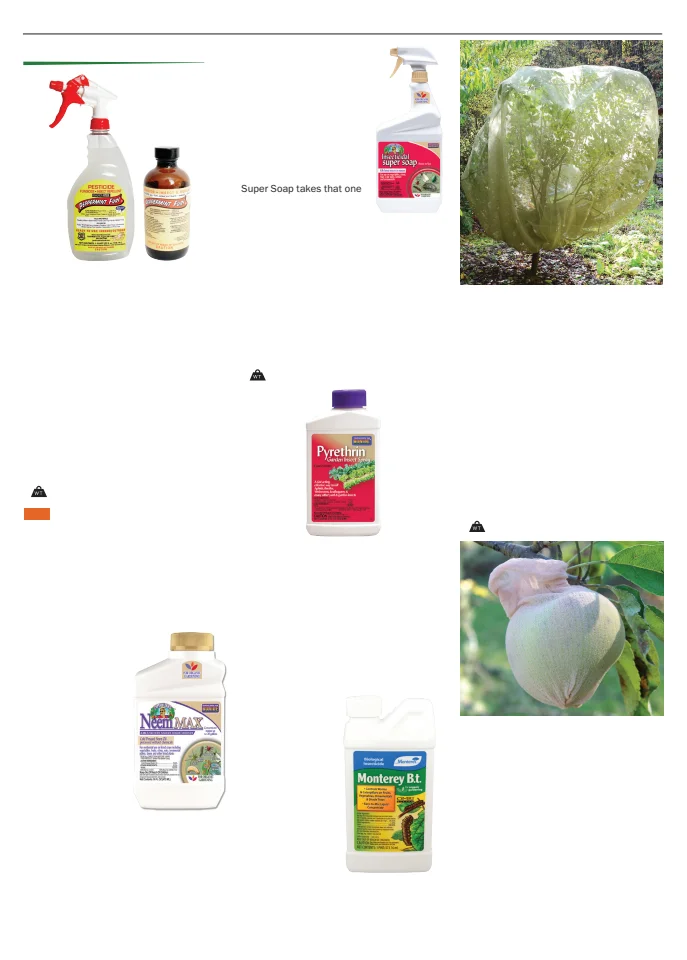 Territorial Seed Company Territorial Seed 2026 Spring Catalog - Page 152