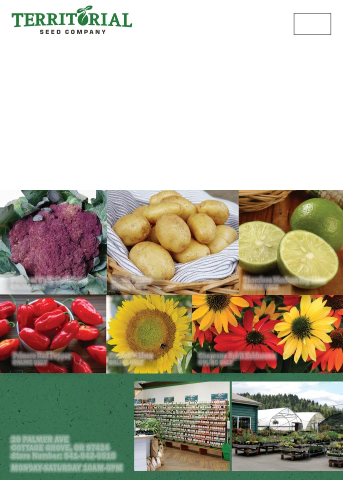 Territorial Seed Company Territorial Seed 2026 Spring Catalog - Page 160
