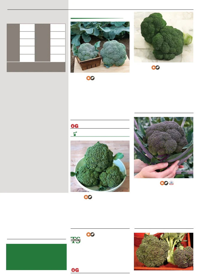 Territorial Seed Company Territorial Seed 2026 Spring Catalog - Page 17
