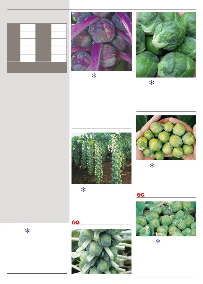Territorial Seed Company Territorial Seed 2026 Spring Catalog - Page 19