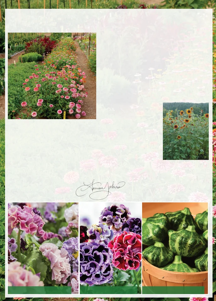 Territorial Seed Company Territorial Seed 2026 Spring Catalog - Page 2