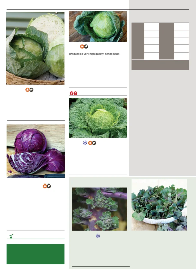 Territorial Seed Company Territorial Seed 2026 Spring Catalog - Page 20