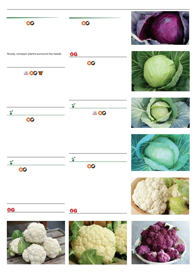 Territorial Seed Company Territorial Seed 2026 Spring Catalog - Page 21