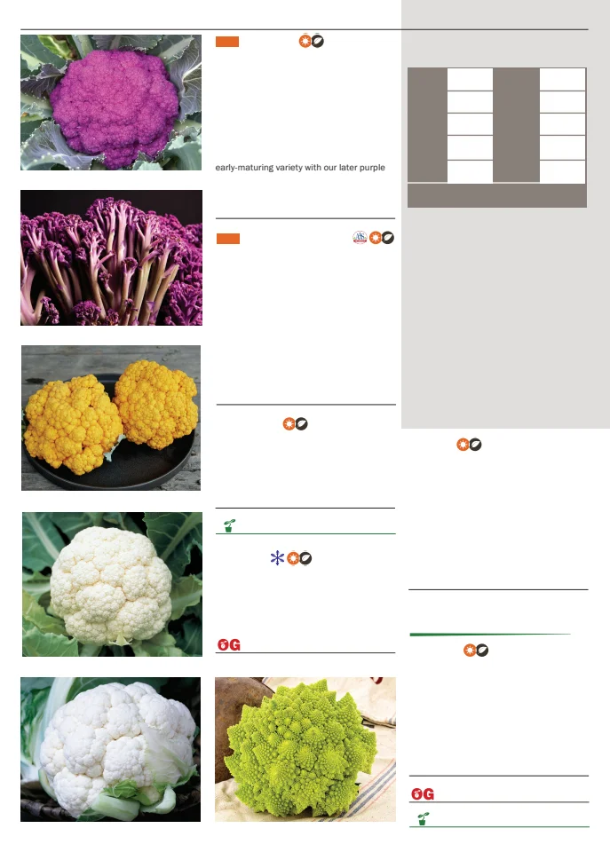 Territorial Seed Company Territorial Seed 2026 Spring Catalog - Page 22